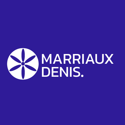 Logo Auto école MARRIAUX Denis à Semur-en-Auxois