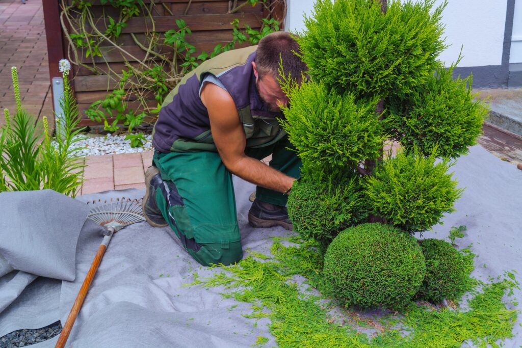 Comment un paysagiste peut attirer plus de clients en 2026 - Digibeecom