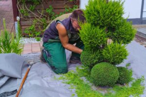 Comment un paysagiste peut attirer plus de clients en 2026 - Digibeecom